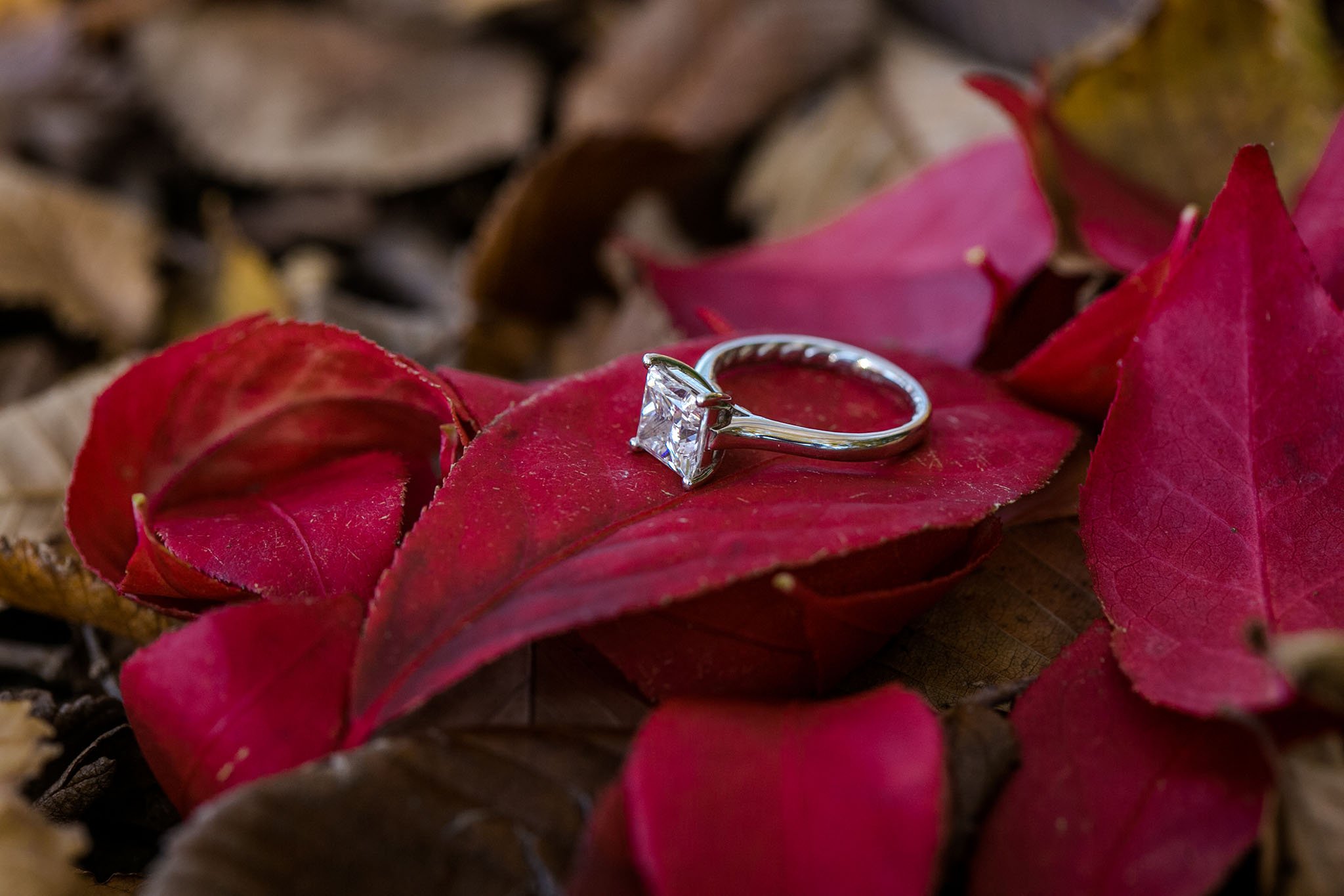 chicago fall engagement