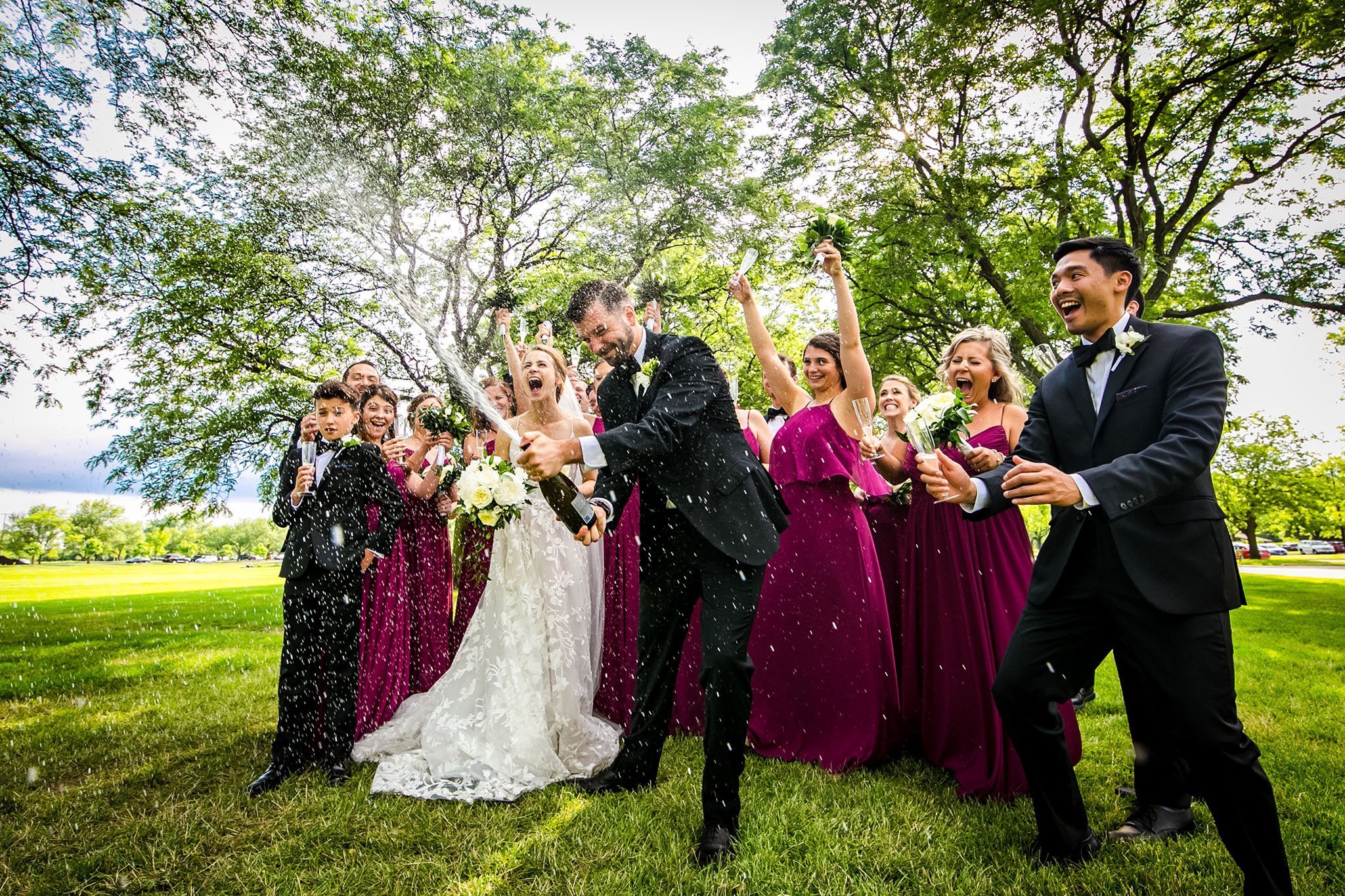 bride and groom with wedding party at cantigny park